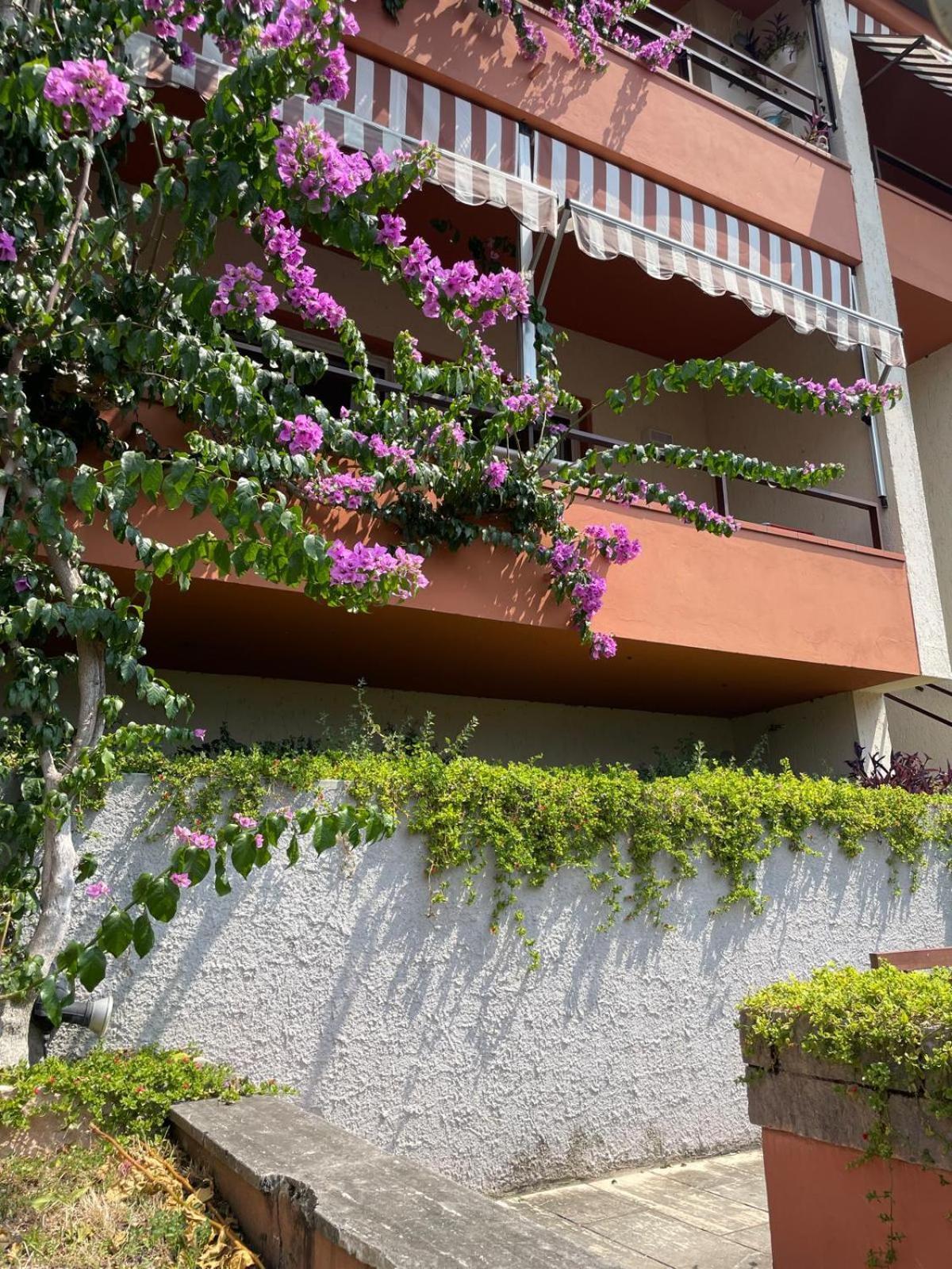 Residence Kormorano Malcesine Exterior foto